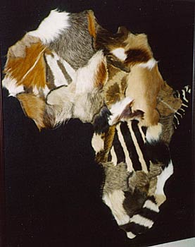 Alaska Taxidermy